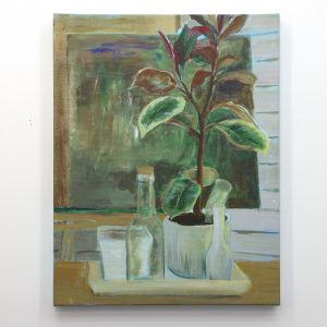 Plant and Bottles Study