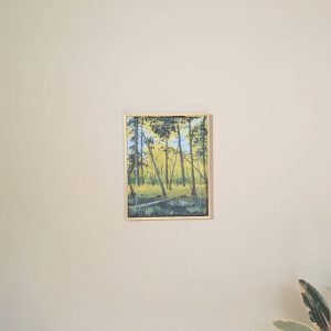 Falling Light