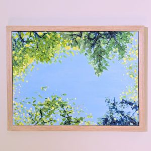 Canopy Opening Study