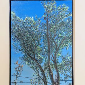 Mac In A Tree